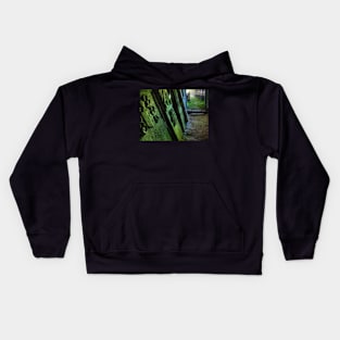 Ancestral Tomb, Shetland Kids Hoodie